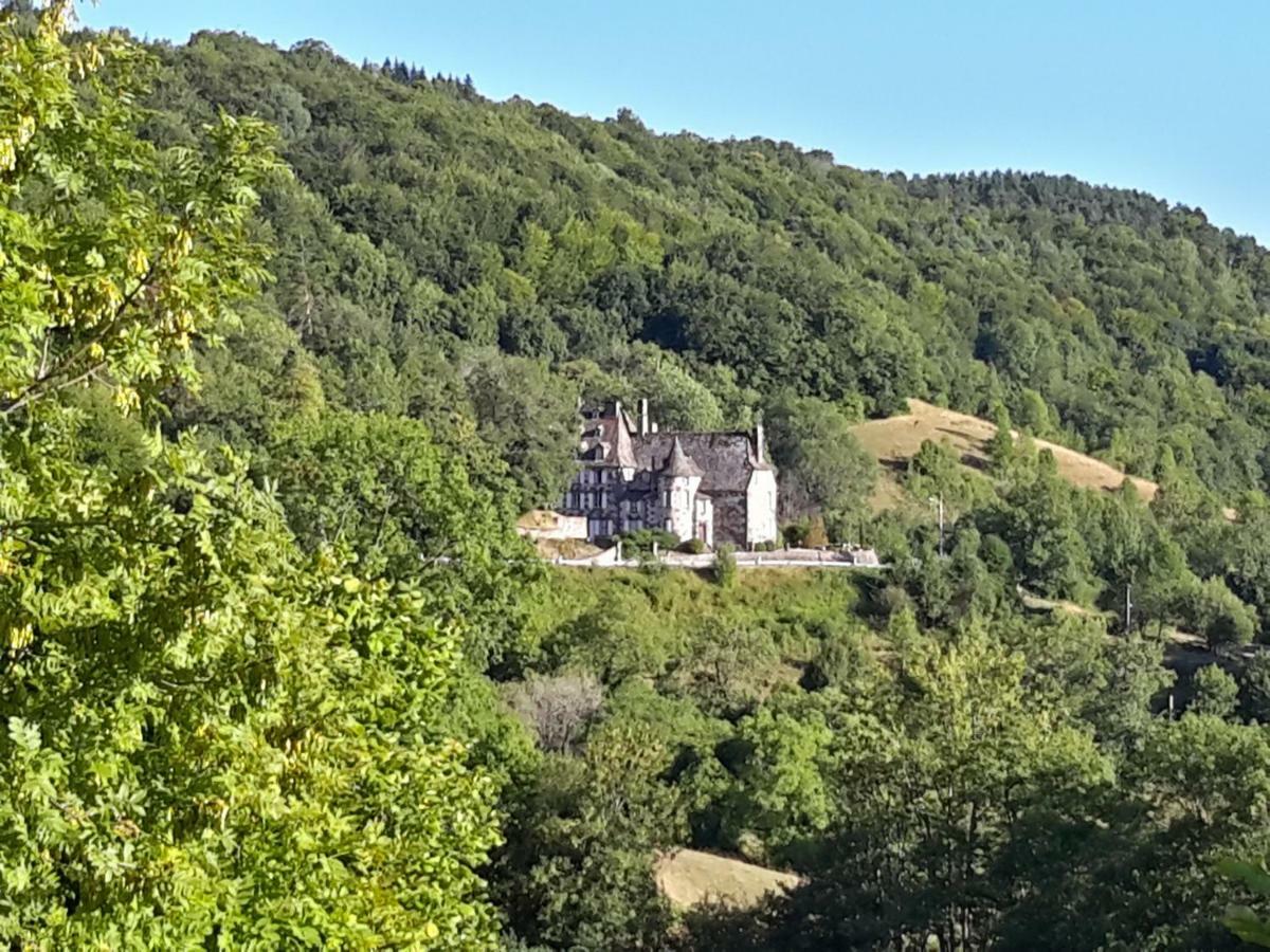 Chateau De Courbelimagne, Raulhac Bagian luar foto